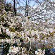 ヒメ日記 2026/03/31 21:30 投稿 星名 茉優 絢(あや)