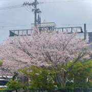 ヒメ日記 2026/04/08 23:48 投稿 星名 茉優 絢(あや)