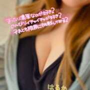 ヒメ日記 2025/02/20 12:22 投稿 はるか ちゃんこ大阪伊丹空港豊中店