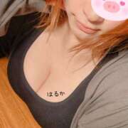 はるか こんばんは ちゃんこ大阪伊丹空港豊中店