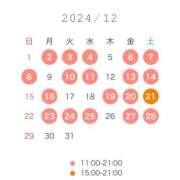 鈴 12月の予定について EXE（エグゼ）