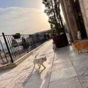 ヒメ日記 2025/03/30 19:11 投稿 岩崎あかね 淫乱OL派遣商社 斉藤商事