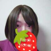 ヒメ日記 2025/02/11 00:58 投稿 かな フレッシュハニー