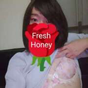 ヒメ日記 2025/03/25 00:35 投稿 かな フレッシュハニー