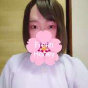 ヒメ日記 2025/03/25 05:45 投稿 かな フレッシュハニー