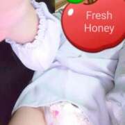 ヒメ日記 2025/04/05 22:45 投稿 かな フレッシュハニー