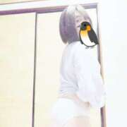 ヒメ日記 2025/05/22 23:30 投稿 かな フレッシュハニー