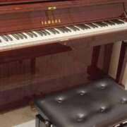 ヒメ日記 2025/06/17 21:35 投稿 かな フレッシュハニー