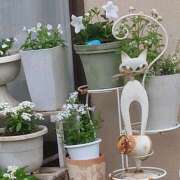 ヒメ日記 2025/07/01 18:47 投稿 かな フレッシュハニー