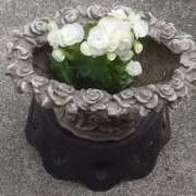 ヒメ日記 2025/07/22 19:47 投稿 かな フレッシュハニー