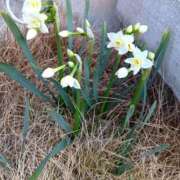 ヒメ日記 2026/03/11 23:09 投稿 かな フレッシュハニー