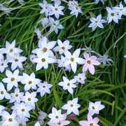 ヒメ日記 2026/03/23 22:40 投稿 かな フレッシュハニー