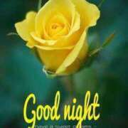 ヒメ日記 2025/08/14 23:34 投稿 ゆかり 丸妻 厚木店