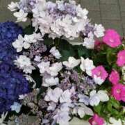 ヒメ日記 2025/10/12 23:39 投稿 ゆかり 丸妻 厚木店