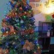 ヒメ日記 2025/12/15 23:28 投稿 ゆかり 丸妻 厚木店