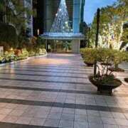 ヒメ日記 2025/12/24 06:53 投稿 ゆかり 丸妻 厚木店