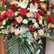 ヒメ日記 2026/01/01 06:49 投稿 ゆかり 丸妻 厚木店