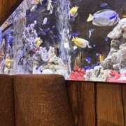 ヒメ日記 2025/05/06 14:55 投稿 雨音 谷町人妻ゴールデン倶楽部