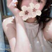 ヒメ日記 2025/08/09 15:15 投稿 雨音 谷町人妻ゴールデン倶楽部