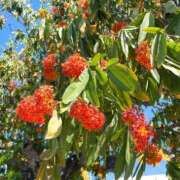 ヒメ日記 2025/02/08 11:21 投稿 さゆり 横浜人妻ヒットパレード（シンデレラグループ）