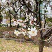 ヒメ日記 2025/02/23 14:15 投稿 さゆり 横浜人妻ヒットパレード（シンデレラグループ）