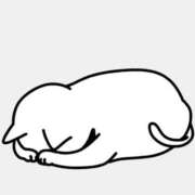 ヒメ日記 2025/03/16 14:26 投稿 さゆり 横浜人妻ヒットパレード（シンデレラグループ）