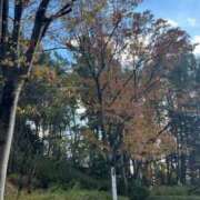 ヒメ日記 2024/12/17 19:18 投稿 てんか ごほうびSPA 大阪店