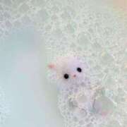 ヒメ日記 2025/03/11 14:10 投稿 てんか ごほうびSPA 大阪店