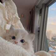 ヒメ日記 2025/05/19 10:42 投稿 てんか ごほうびSPA 大阪店