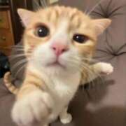 ヒメ日記 2025/08/28 19:22 投稿 てんか ごほうびSPA 大阪店