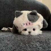 ヒメ日記 2025/09/22 10:52 投稿 てんか ごほうびSPA 大阪店