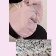 ヒメ日記 2026/04/01 12:09 投稿 もえ club さくら日本橋店