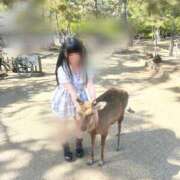 ヒメ日記 2025/04/22 22:22 投稿 ハナ AMOUR（アムール）