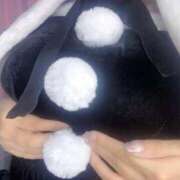 ヒメ日記 2025/12/26 18:23 投稿 まり 大阪はまちゃん日本橋店