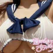 ヒメ日記 2025/10/13 20:49 投稿 つき パリス雄琴店