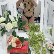 ヒメ日記 2025/01/31 18:15 投稿 ひよこ にゃんだ☆full☆MIX（にゃんだふるみっくす）