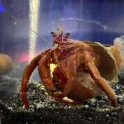 ヒメ日記 2025/07/30 09:24 投稿 ゆず 人妻倶楽部 内緒の関係 川越店