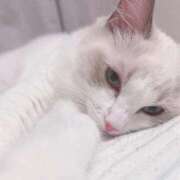 ヒメ日記 2025/10/19 08:34 投稿 ゆず 人妻倶楽部 内緒の関係 川越店