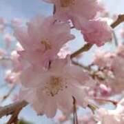 ヒメ日記 2025/04/01 20:02 投稿 しおり～マット～ アメイジングビル～道後最大級！遊び方無限大∞ヘルス♪～