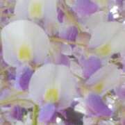 ヒメ日記 2025/04/25 14:30 投稿 しおり～マット～ アメイジングビル～道後最大級！遊び方無限大∞ヘルス♪～