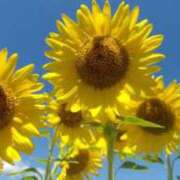 ヒメ日記 2025/07/28 11:31 投稿 しおり～マット～ アメイジングビル～道後最大級！遊び方無限大∞ヘルス♪～