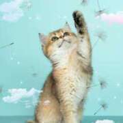 ヒメ日記 2025/09/06 20:02 投稿 しおり～マット～ アメイジングビル～道後最大級！遊び方無限大∞ヘルス♪～