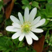 ヒメ日記 2025/09/25 20:02 投稿 しおり～マット～ アメイジングビル～道後最大級！遊び方無限大∞ヘルス♪～