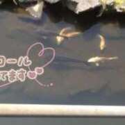 ヒメ日記 2025/10/05 20:01 投稿 しおり～マット～ アメイジングビル～道後最大級！遊び方無限大∞ヘルス♪～