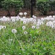 ヒメ日記 2025/04/27 09:45 投稿 しずか 逆痴漢