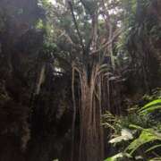 ヒメ日記 2025/05/24 00:33 投稿 古賀　みれい YUDEN〜油殿〜谷九・日本橋店