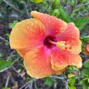 ヒメ日記 2025/05/01 11:28 投稿 にこ Lesson.1沖縄校