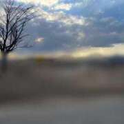 ヒメ日記 2025/03/31 23:03 投稿 うい シークレットサービス