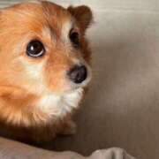 ヒメ日記 2025/09/20 20:12 投稿 うい シークレットサービス