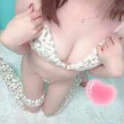 ヒメ日記 2025/01/31 08:01 投稿 ひじり♡マットOK 密着アロマにゃんにゃんSPA